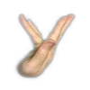y